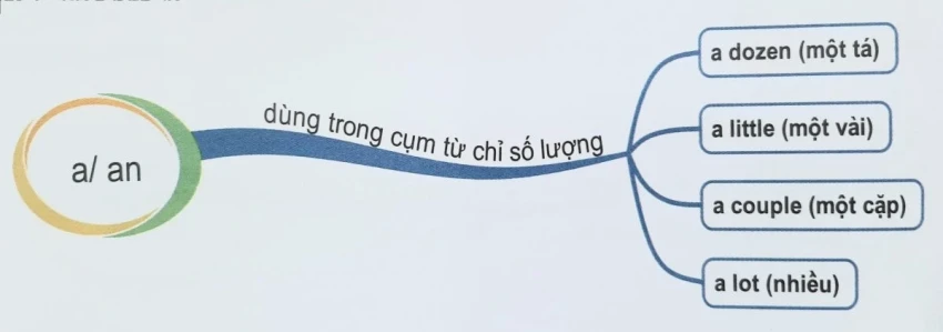 Mạo từ a, an, the trong tiếng anh