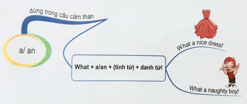 Mạo từ a, an, the trong tiếng anh